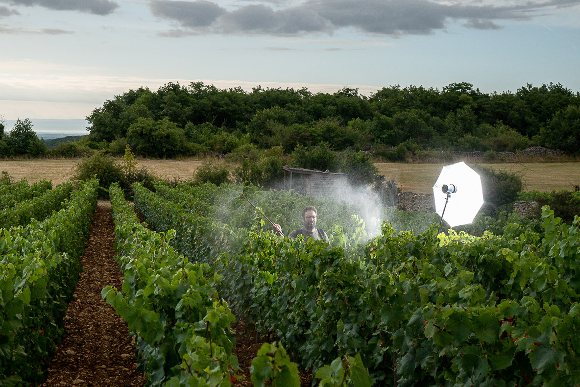 Prises de vues dans les vignes